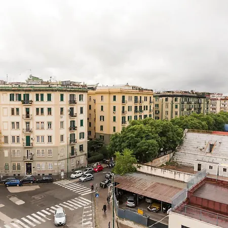 Vomerometronest By Dimorra *